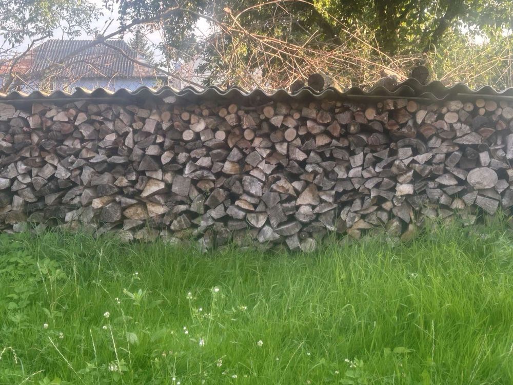 Продам дрова рубані сухі