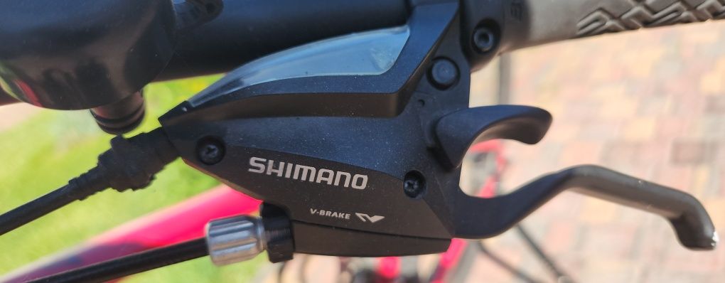 Rower MTB TREK Rama M/L