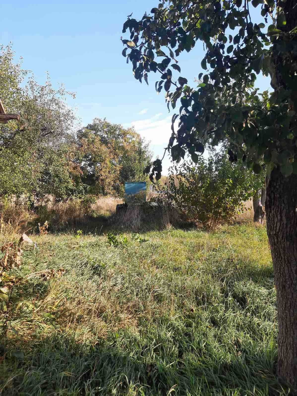 Погреби, вул. Різдвяна. Продаж земельноі ділянки