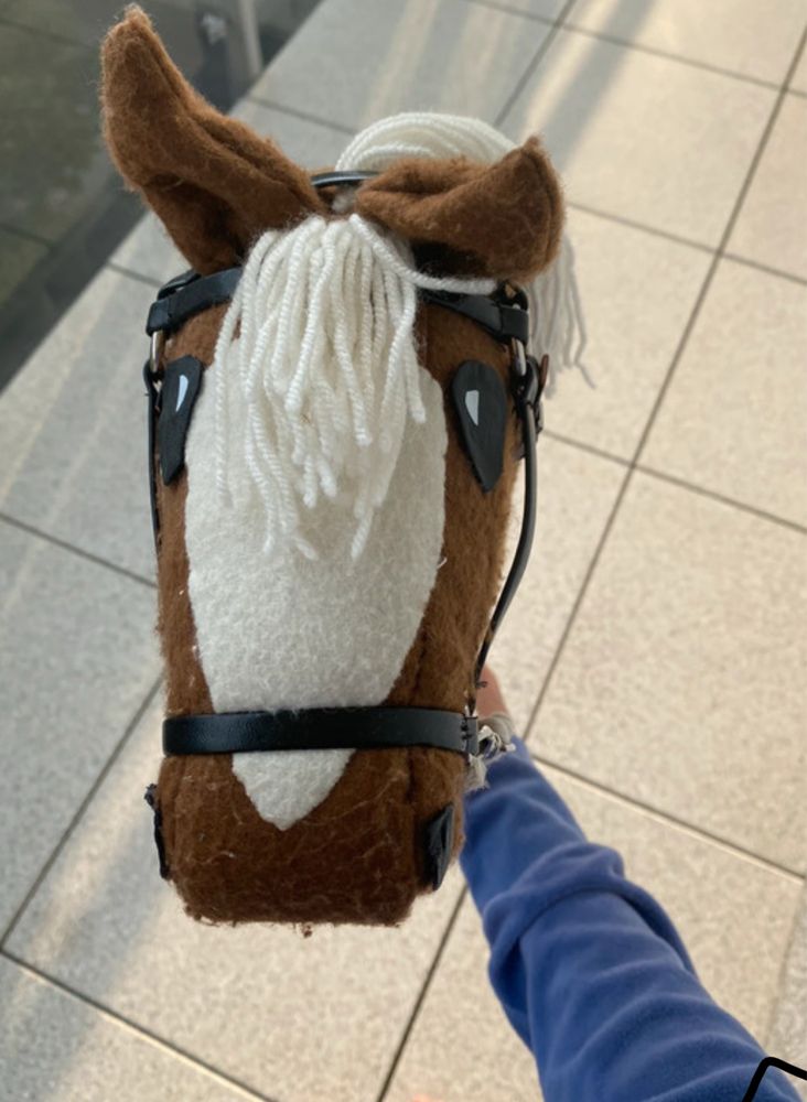 hobby horse konik
