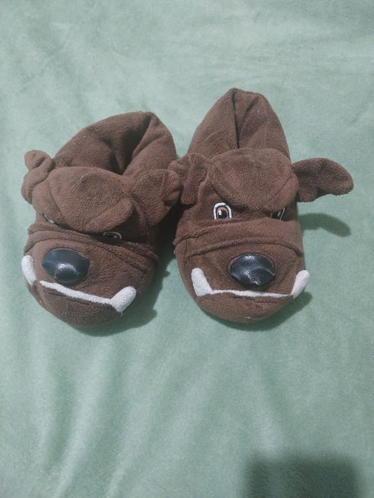 Кімнатні тапочки, капці тапулі