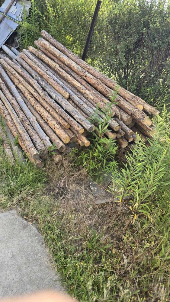Stemple 270 cm 80 sztuk cena 5zł sztuka
