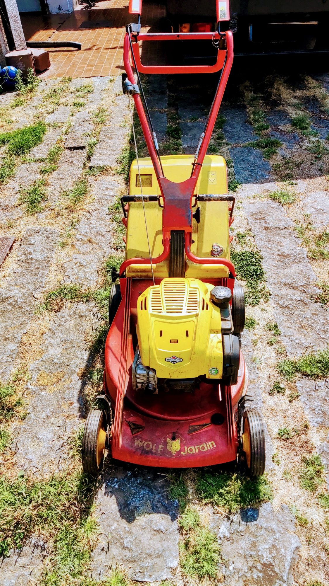 Corta relva Briggs & Stratton Wolf