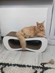 Duży drapak kartonowy AdeleCat 77×30×30 cm