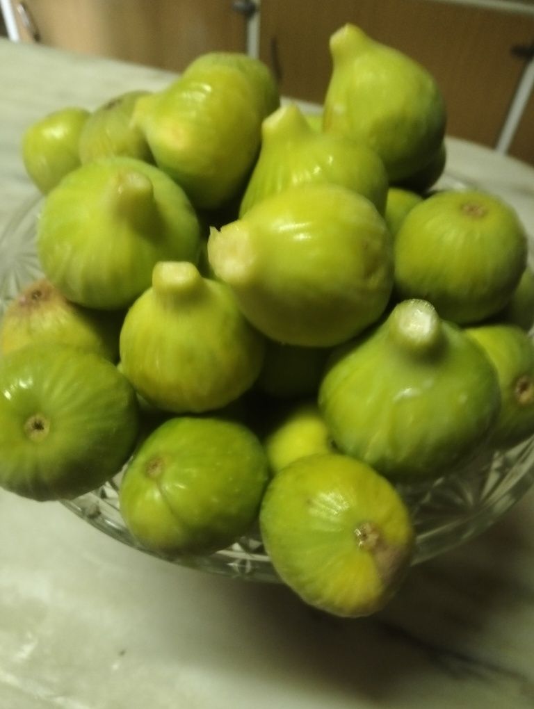 Belíssimos figos pingo de mel