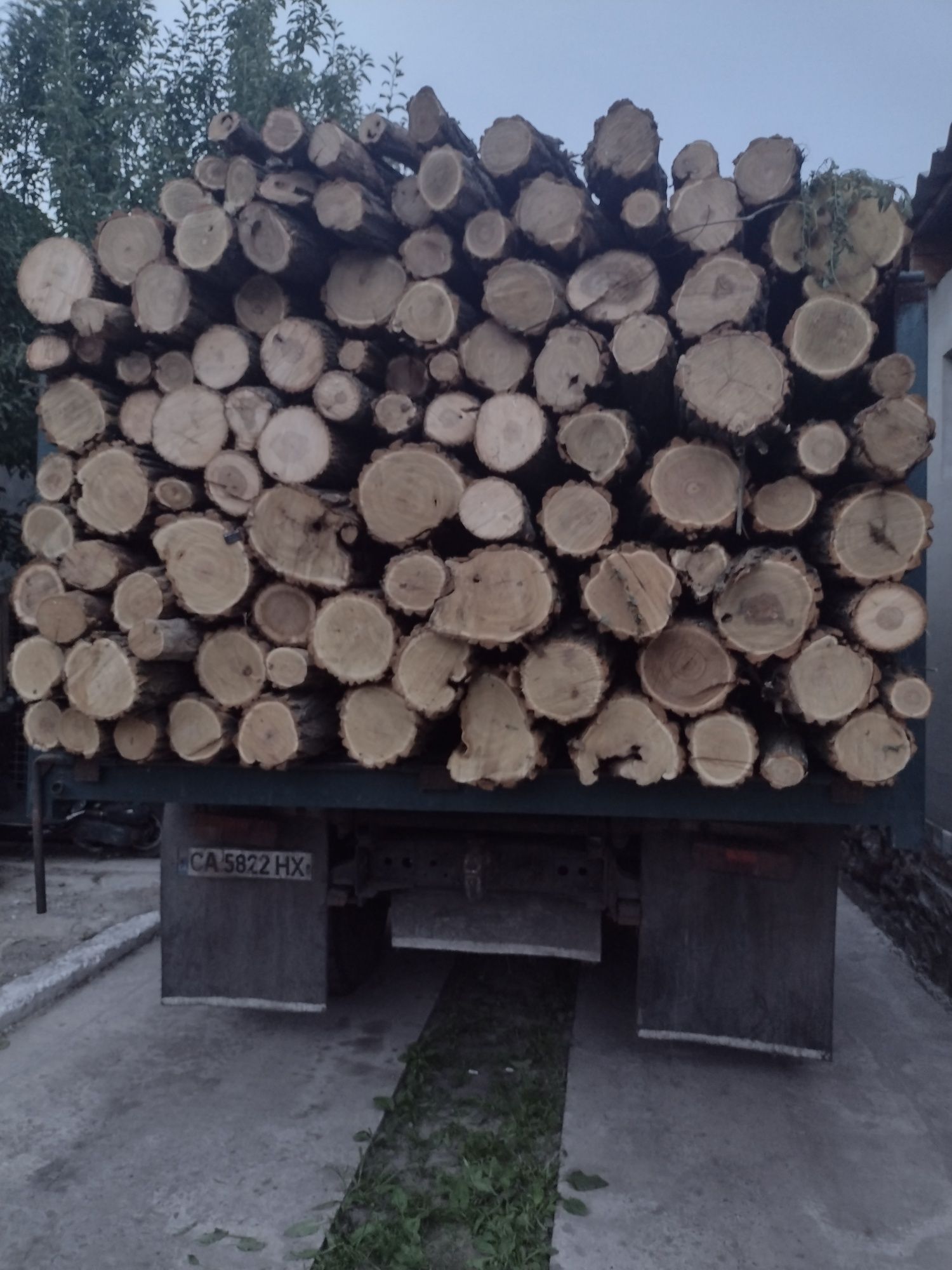 Дрова твердых пород