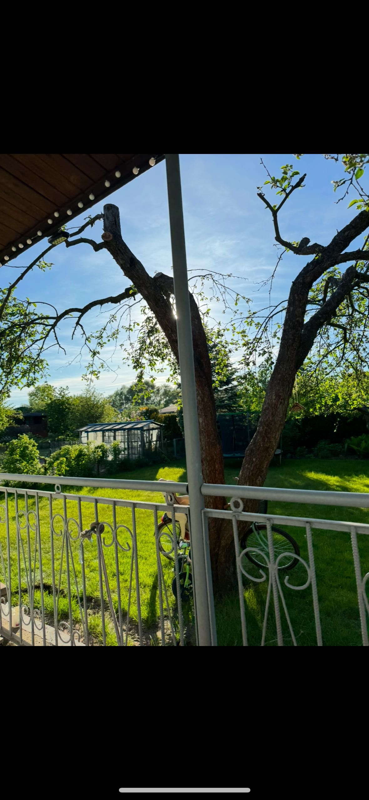 Sprzedam dużą działkę ROD Truskawka