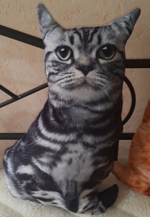 Подушка-игрушка 3д кот