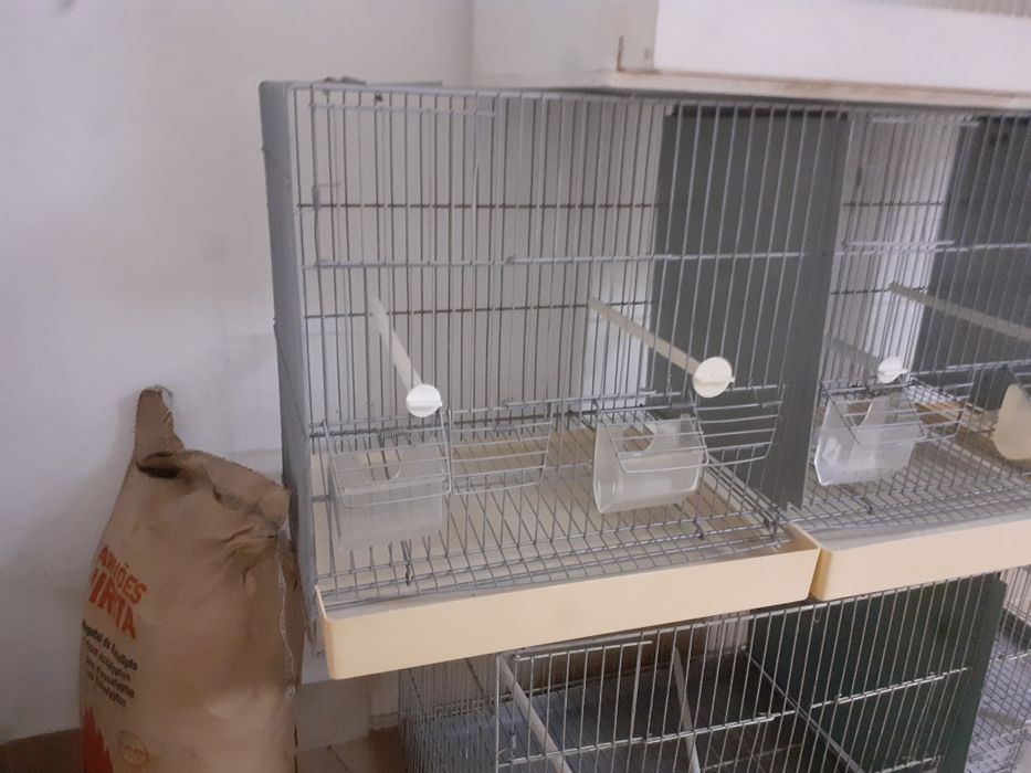 Viveiros para aves em bom estado (1.20m/0.77m)