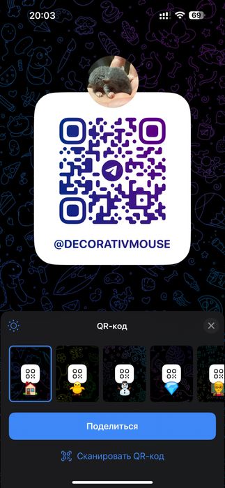 Дівчата та хлопці Дамбо Рекс Кучеряві щур , Крисинята