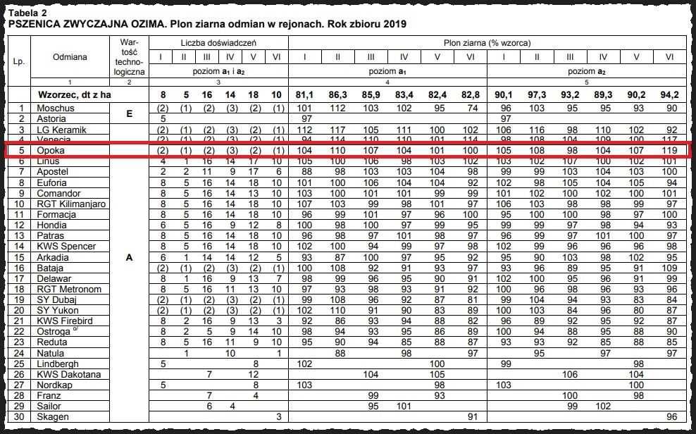 Pszenica Ozima OPOKA -Doskonałe Jakościowe Plony Nawet w Suszy Nasiona