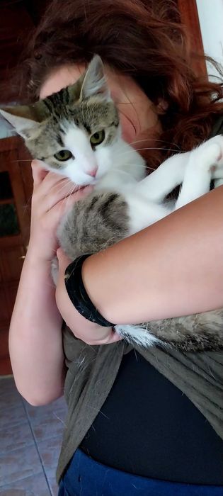 Dwupak miłości czeka na swój wspólny dom