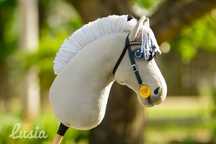 KLL hobby horse fiord A3