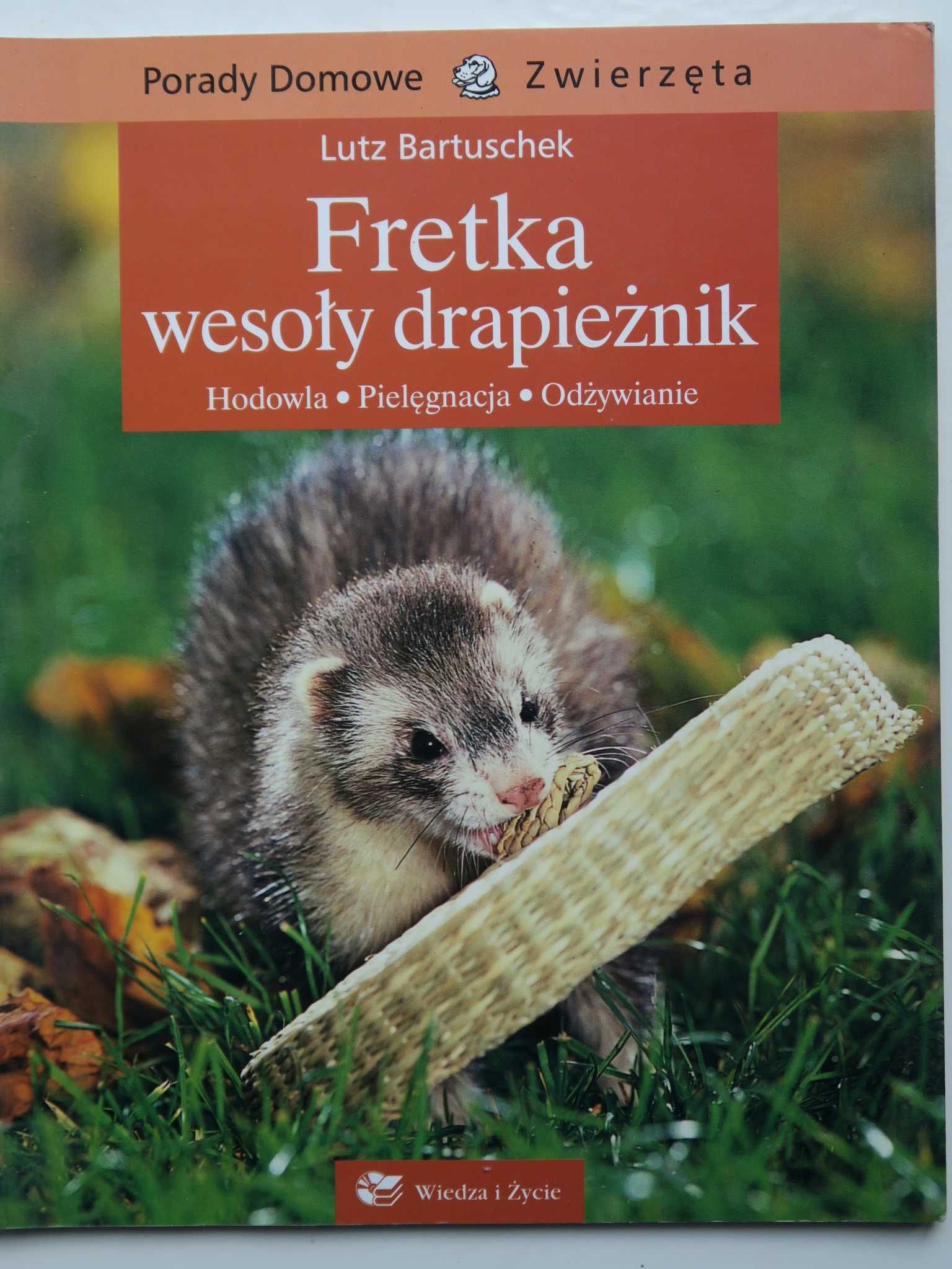 Ksiażkach o fretkach Wesoły drapieznik