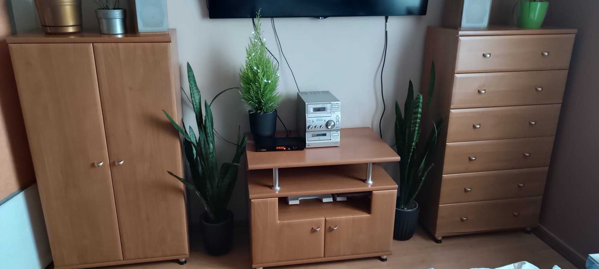 Komoda, biurko, szafka pod TV i szafka dwudrzwiowa.