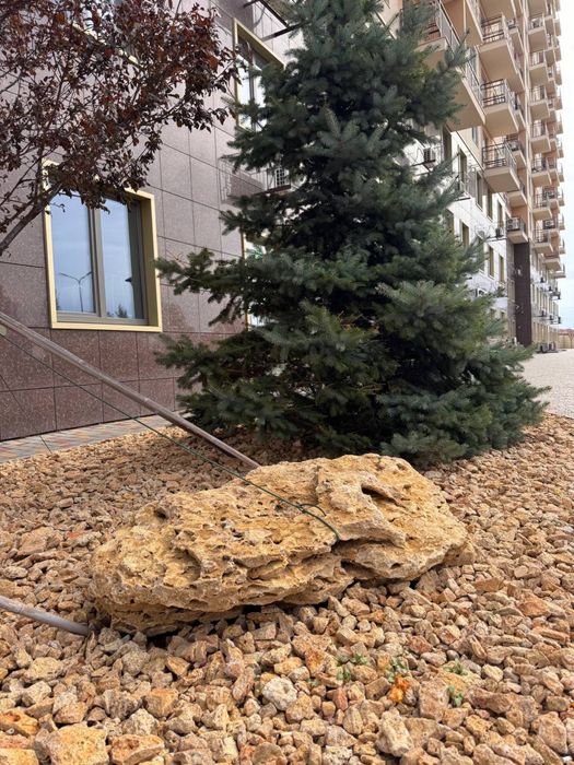 Продам коммерческое фасадное помещение 57 Жемчужина Таирово 1 этаж