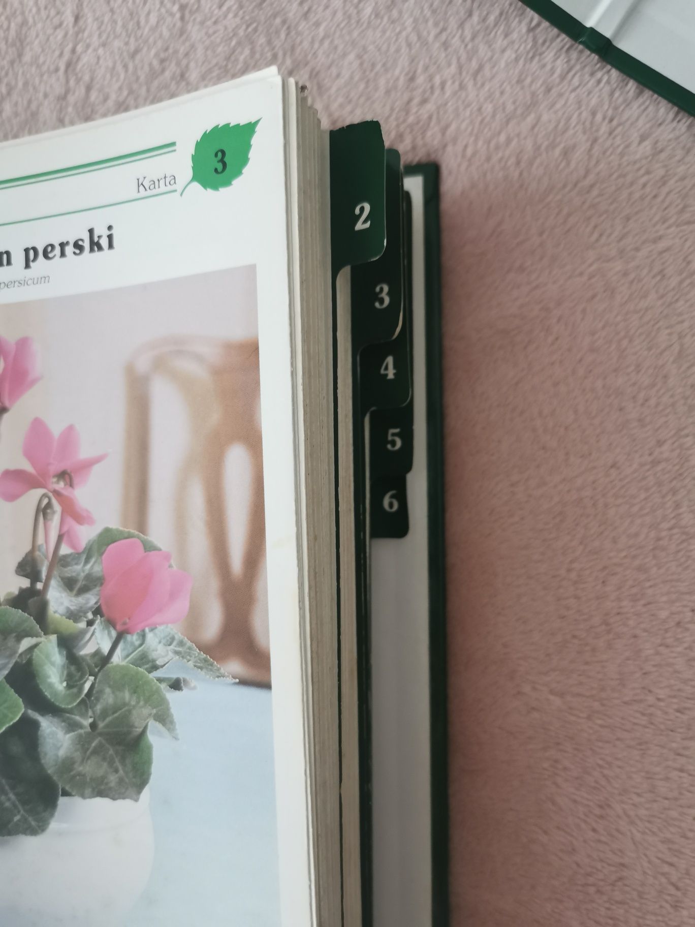 Kwiaty w twoim domu część I i II