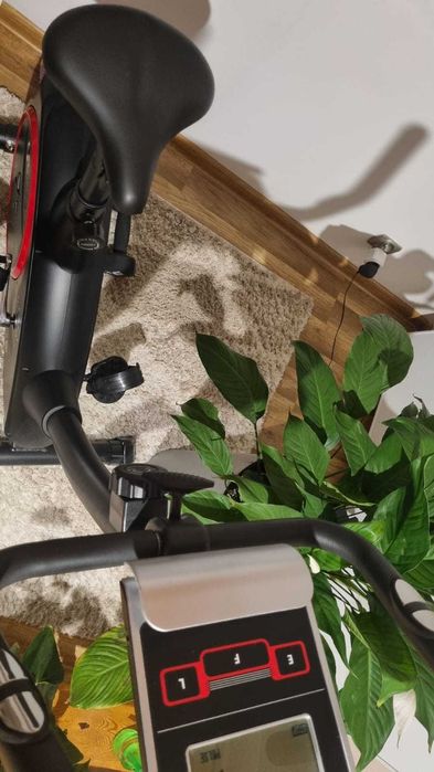 Rower STACJONARNY magnetyczny Christopeit AL1