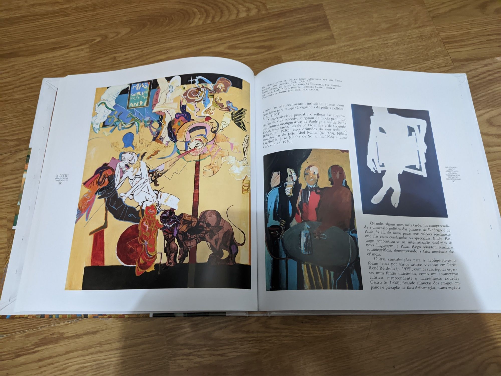 Livro A arte Portuguesa do seculo XX