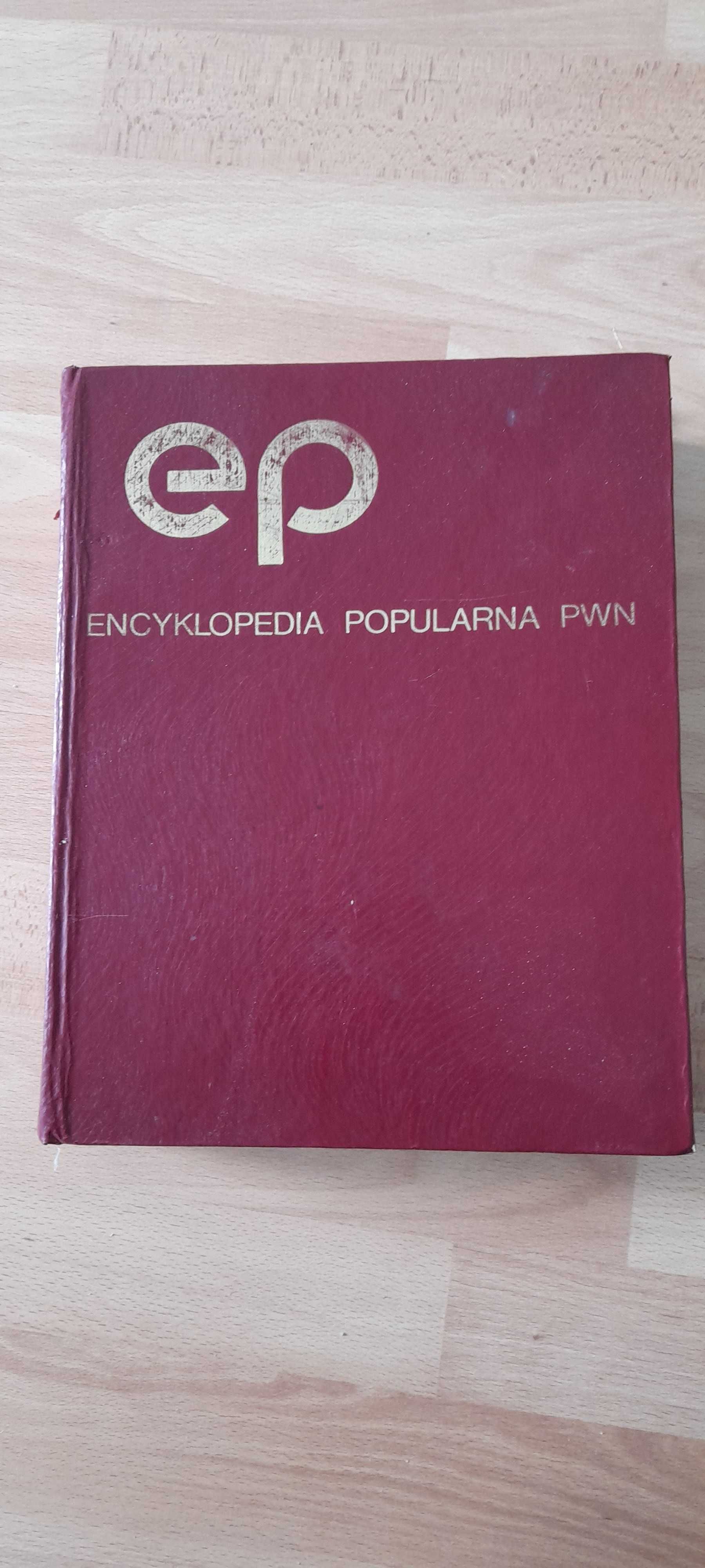 Encyklopedia popularna PWN