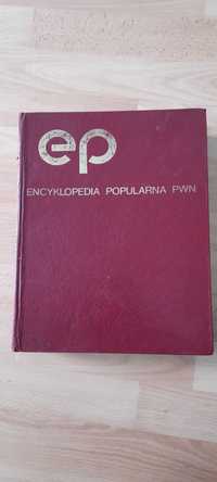 Encyklopedia popularna PWN