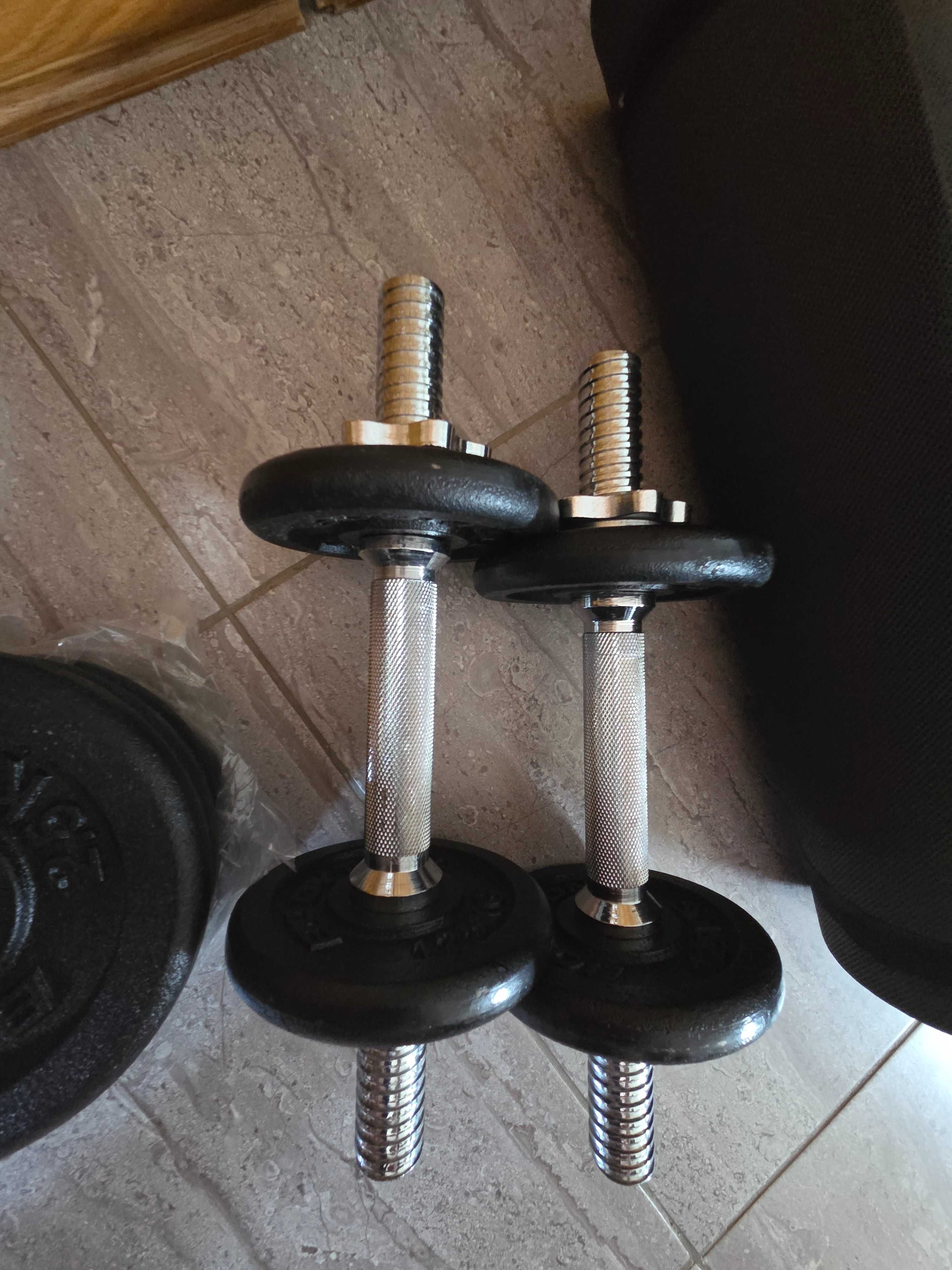 Pesos musculação