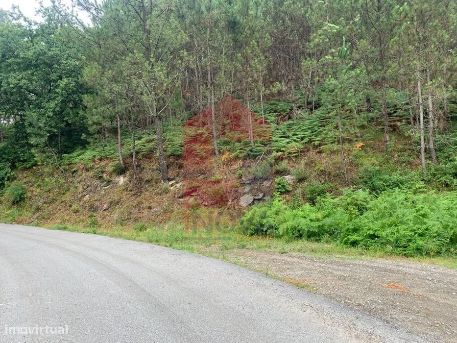 Terreno Agrícola em Caires, Amares