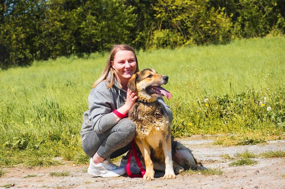 Dobosz radosny energiczny piesek