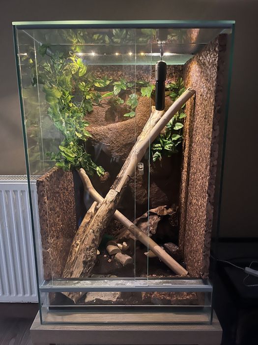 Terrarium dla gekona, jaszczurki