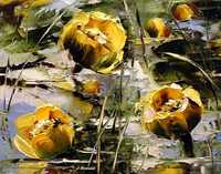 Kowalik - Grążele obraz olejny 30x24cm lilie wodne