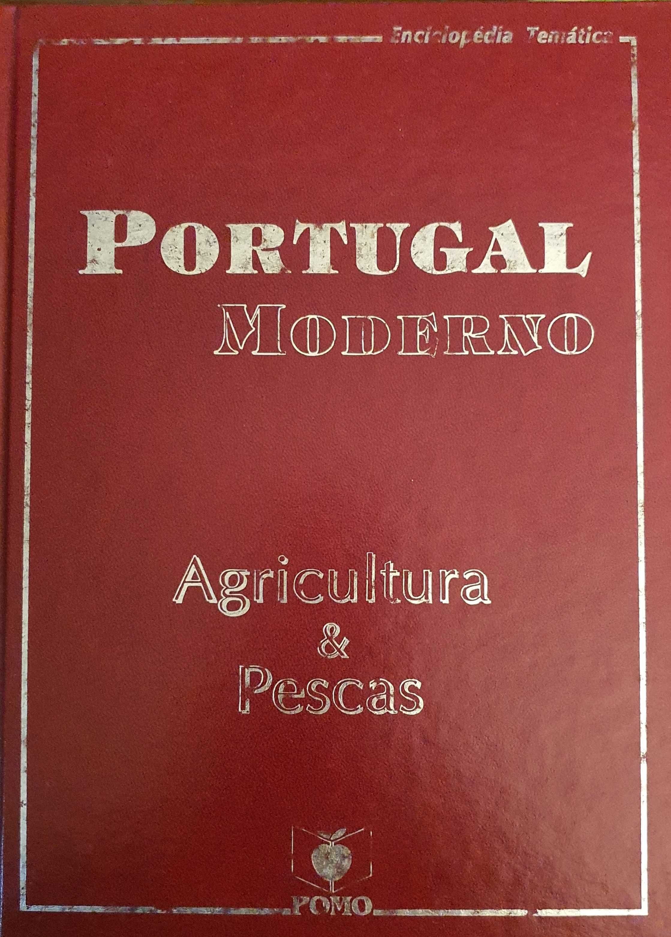 Portugal Moderno (Livros com capa dura)