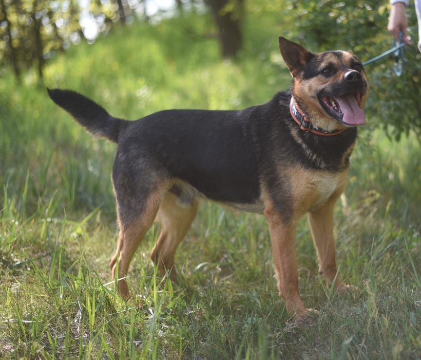 Dajmy sznsę Oliemu na dom!!!