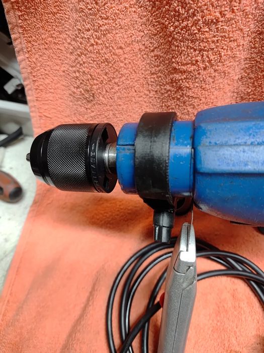 Wiertarka celma niebieska