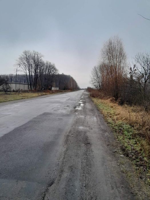 Продам ПАЙ Чорнозем м. Березне  1,41 Га (неподалік траса)