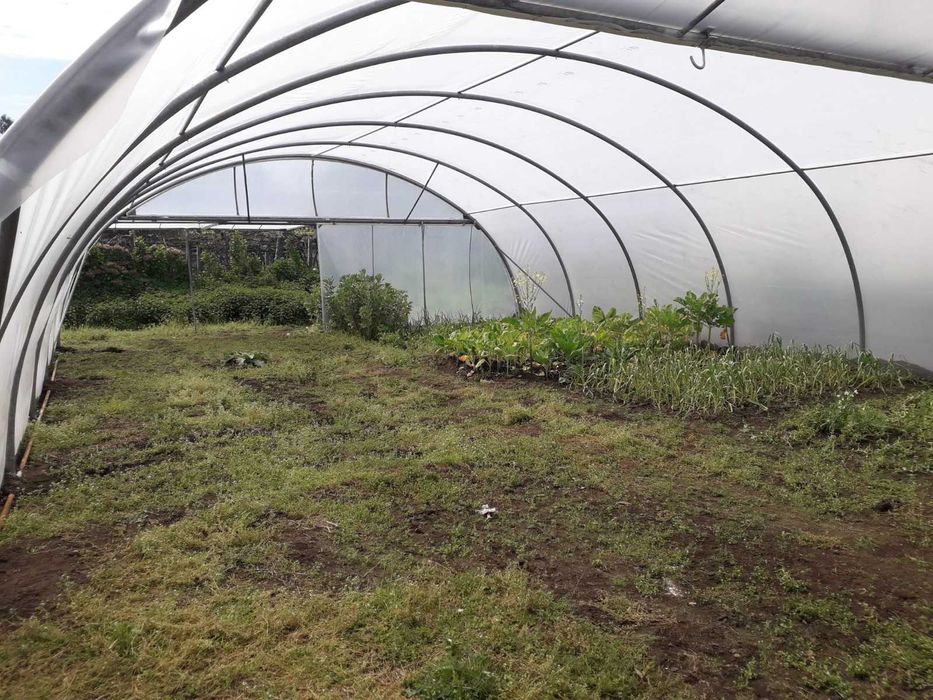 Estufa usada tipo túnel 300m2