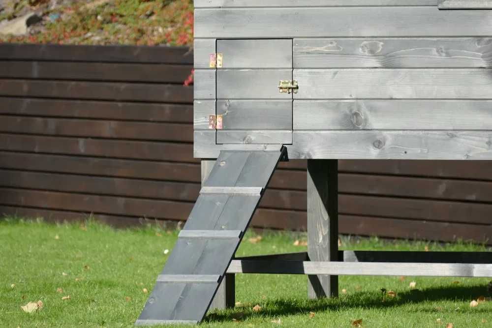 Kurnik ROCKY LUX 5 dla 12-15 KUR