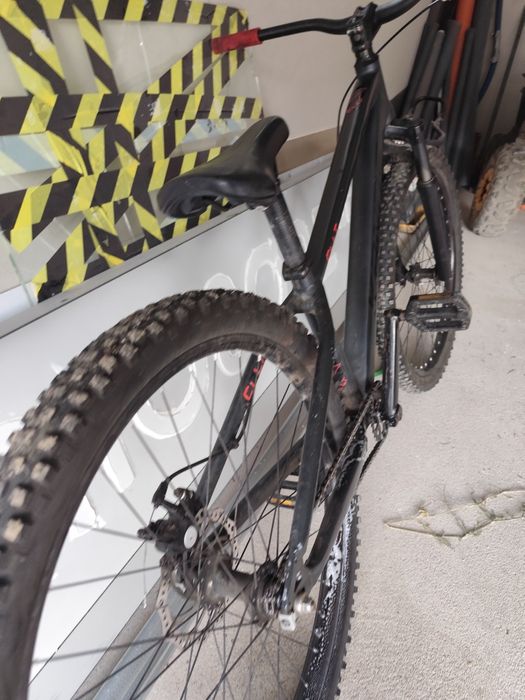 Rower dirt kands colt