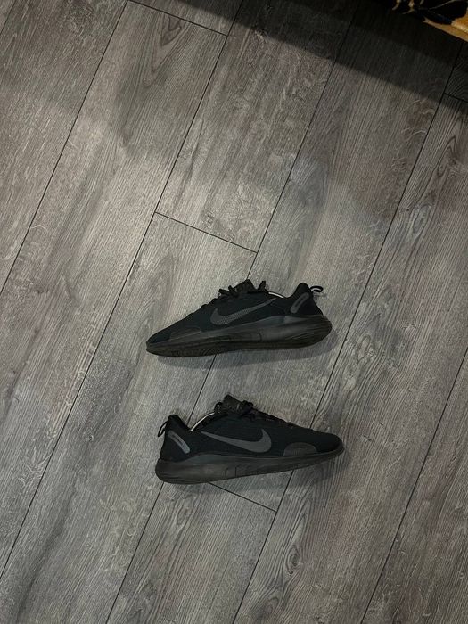 Спортивні кросівки Nike Flex experience Run 43