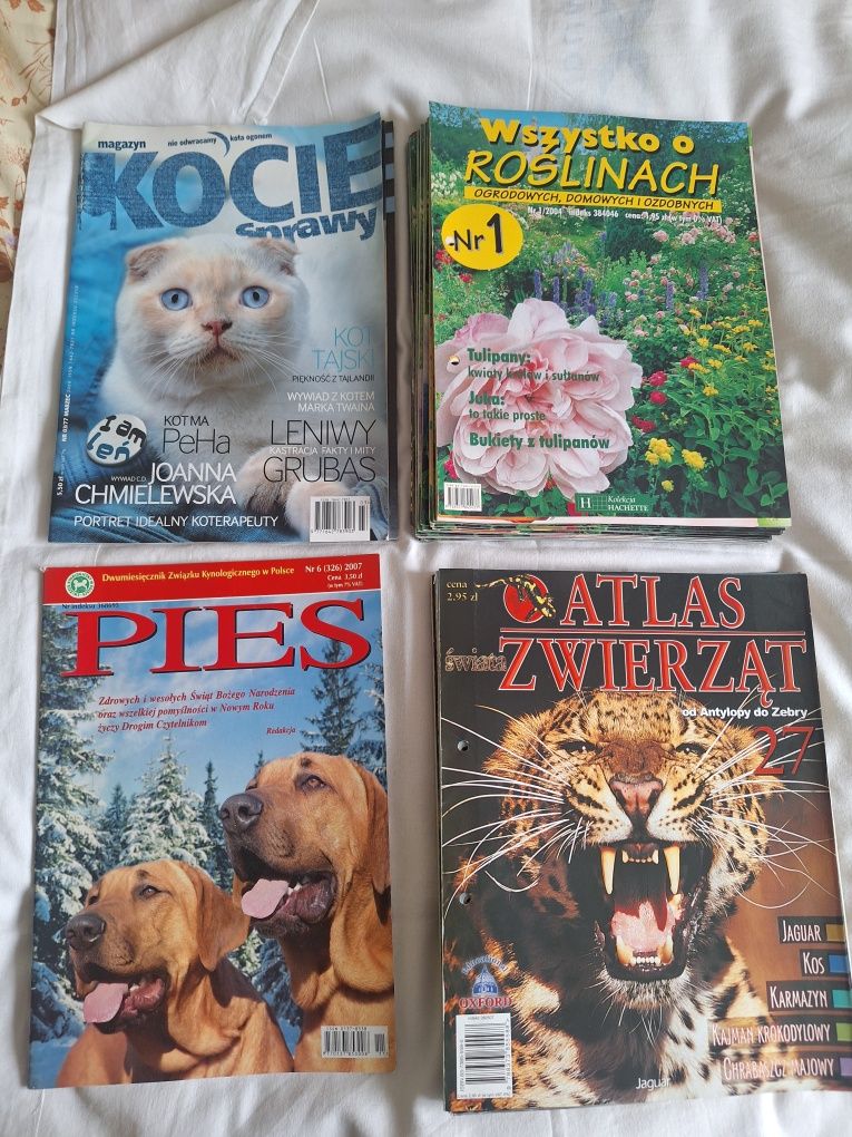Gazetki o zwierzakach i roślinach
