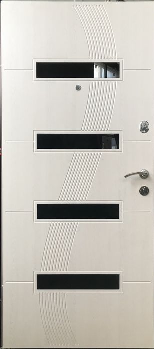 Двері вхідні металеві квартира приватний сектор