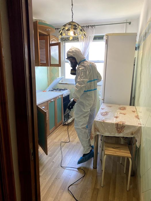 Уничтожение тараканов, травля клопов, мышей, крыс, дезинфекция от блох