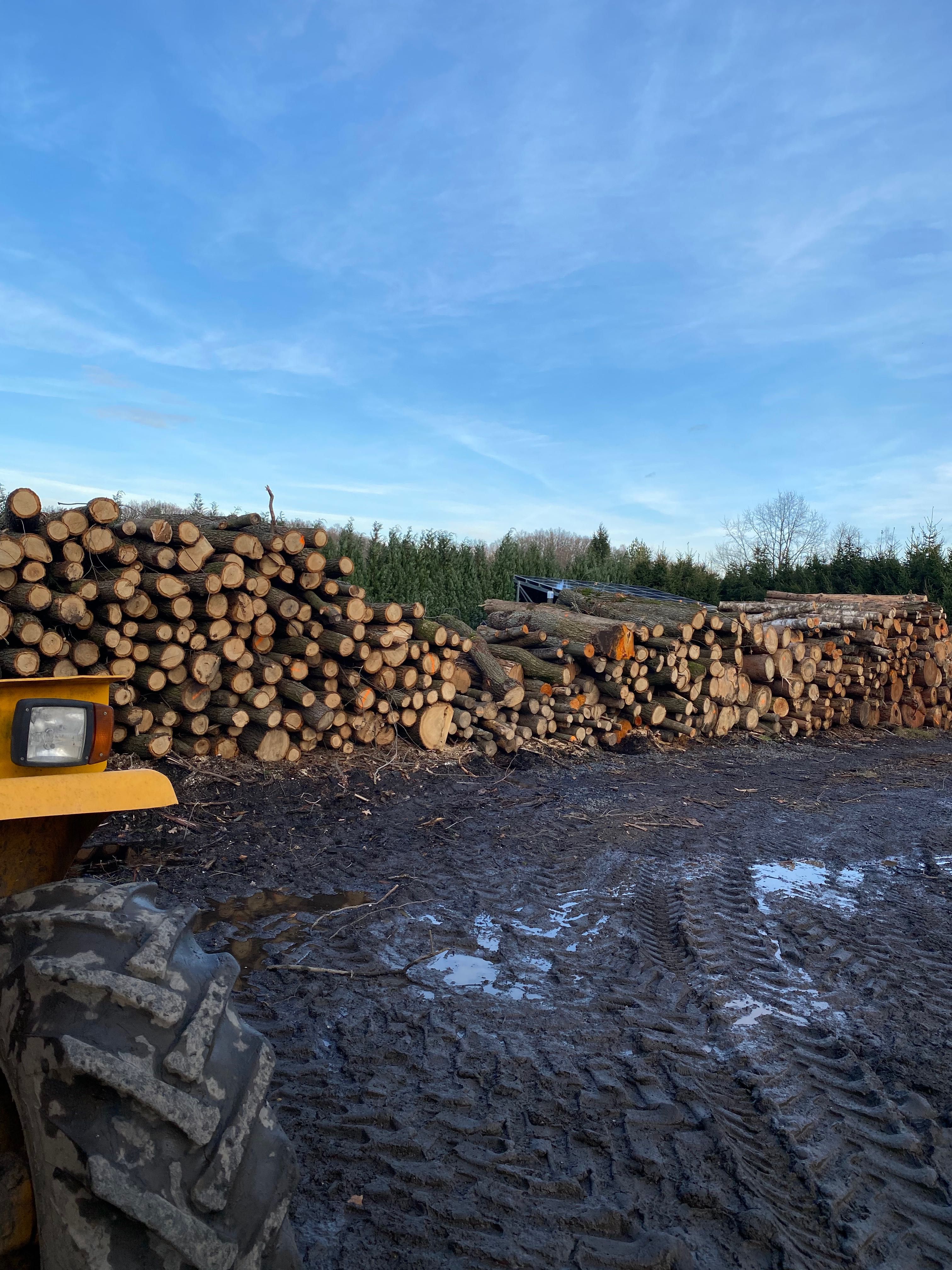 Drewno opałowe z dostawą