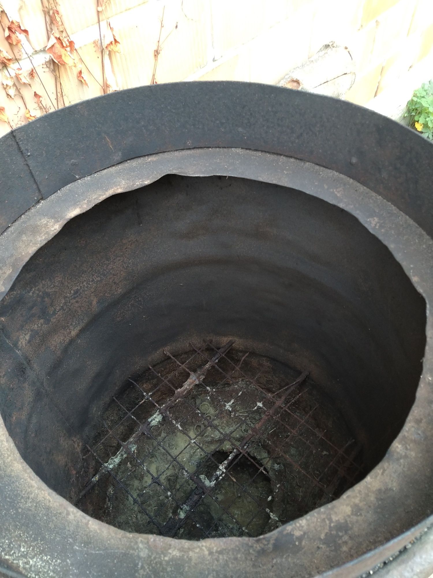 Wedzarka ogrodowa
