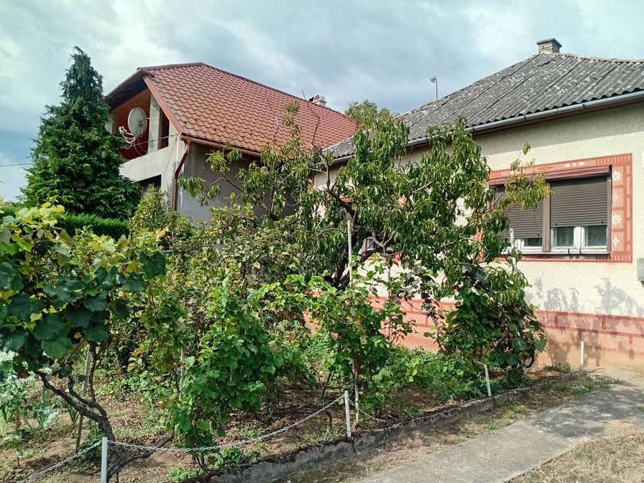 Добрий будинок на дві сім'ї 2.5 км від м. Берегове в с.(Астей) Лужанка