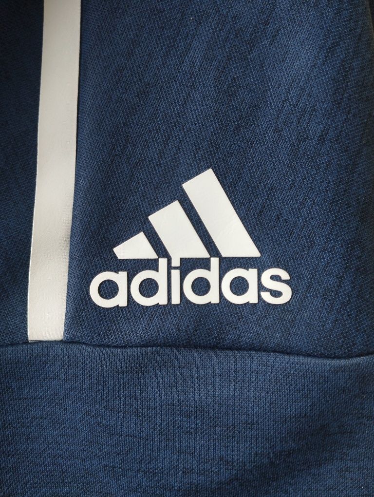 Bluza Manchesteru United Adidas - gratka dla fanów Czerwonych Diabłów!