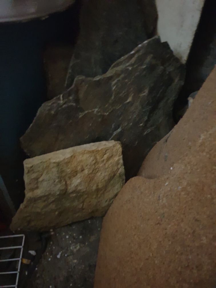 Wystroj terrarium;rośliny gałęzie korkowe,kryjówki magnetyczne, itp