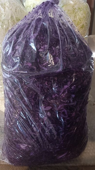 Kapusta szatkowana czerwona biała