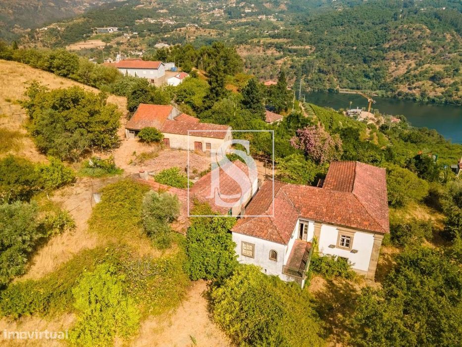 Quinta da Assureira - Douro Arrendamento