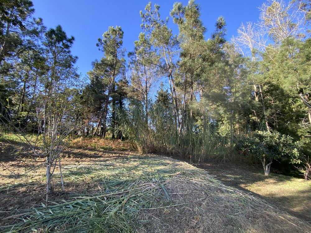 Terreno para construção / Figueira Da Foz / Moradia Unifamiliar