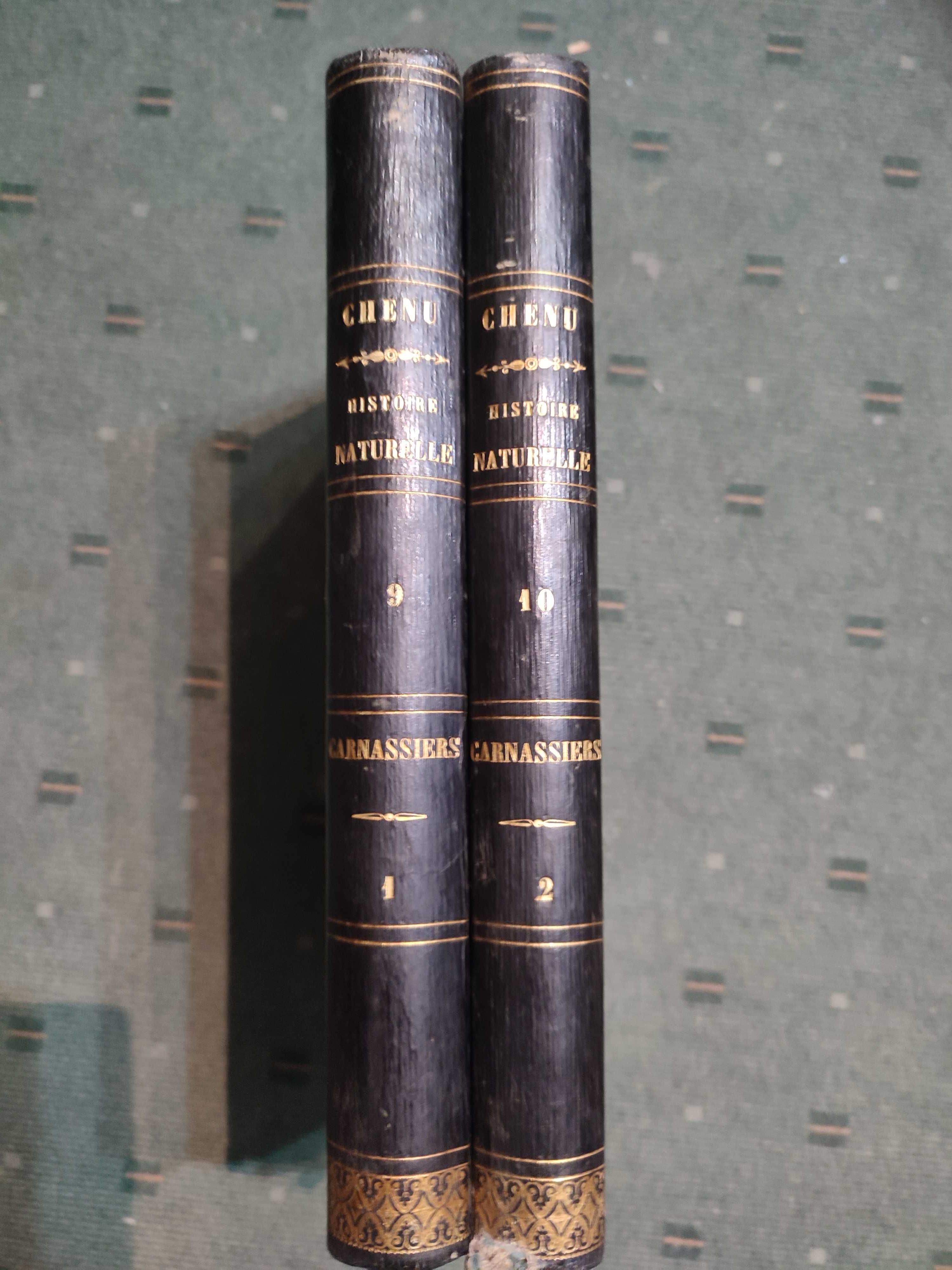 Encyclopédie D'Histoire Naturelle Traité Complet -Carnassiers - 2 Vol